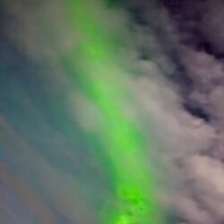 Zur späteren Stunde konnten wir sie nochmal sehen.