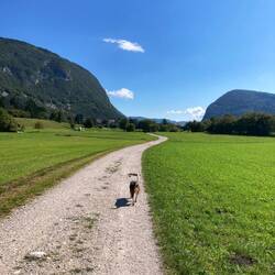 Feldweg vom Bohinj See