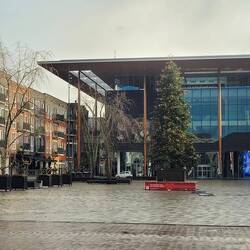 Der Weihnachtsbaum am Marktplatz in Leeuwarden steht nach der Böllerei noch.