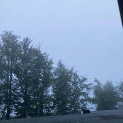 Morgendliche Stimmung