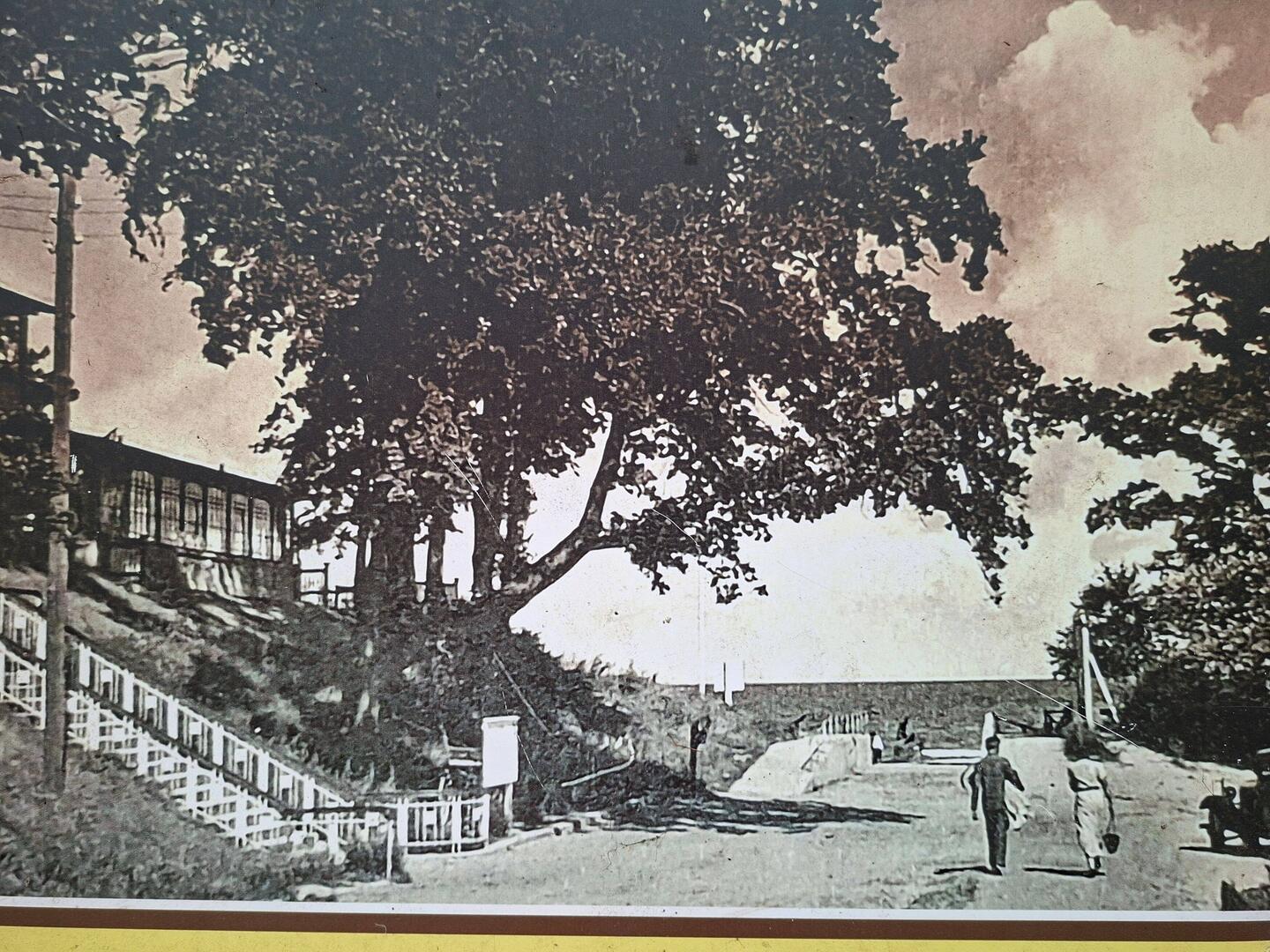 70er Jahre ca. Vorn am Strand lagerten die Fischkutter. Ca. 5 Boote