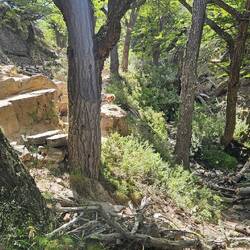 Suchbild: finde die Vorwitznas'