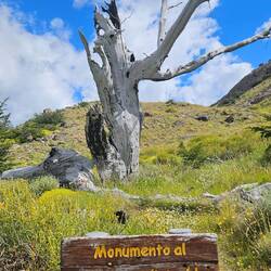 Denkmal für den unaufmerksamen Spaziergänger. Verursacht wurde dies durch einen Zigarettenstummel!!