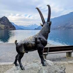 Blick auf den See