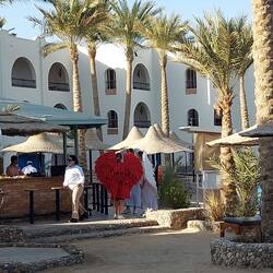 Die sind a bissl zu spät dran 🤣🤣🤣