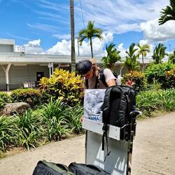 Der Trolly 🛒 ist schnell besorgt 🫢