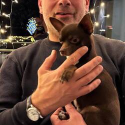 Der ist so klein in diesen großen Händen 😍