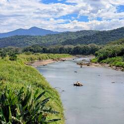 Río Grande de Tárcoles. Hier sollen sie zu hunderten rumliegen