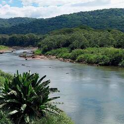 Hier sollen hier Massen an Krododilen liegen