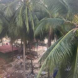 Aussicht vom "Roomy Guesthouse"