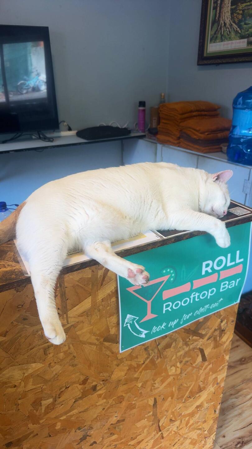 Mitarbeiter des Monats