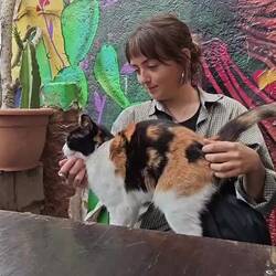 warten auf Essen in Valparaíso