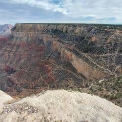 Die Mulis haben Vorfahrt.