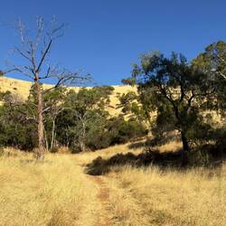 Brownhill Creek Caravan Park Ausblick