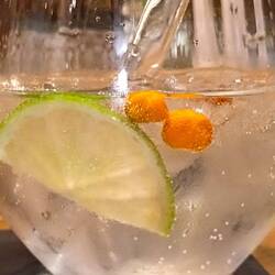 Gin mit Helgoländer Meerwasser und Sandorn