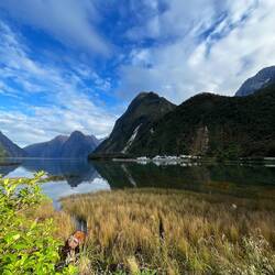 Der Milford Sound...