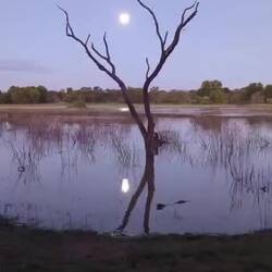 Mond mit Geräuschkulisse
