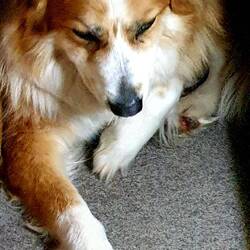 ... bellissima la nostra Marvel ❤