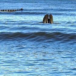 Ups ... aus Holz 😉