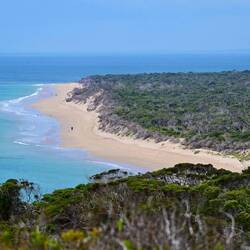 Blick vom Fort in die Port Phillip Bay mit einlaufender Fähre aus Tasmanien