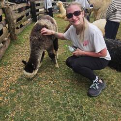 Pauline trop contente de voir des alpagas, avez vous vu le coup de soleil sur son bras ? 😂