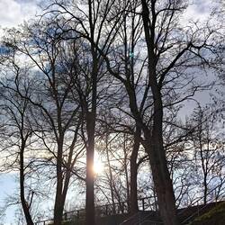 mit ☀️