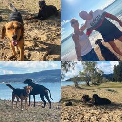 31.12.25 der süße Zikus🐾ist auf dem rechten Auge blind und hatte kein gutesJahr,aber jetzt isSPITZE🍀