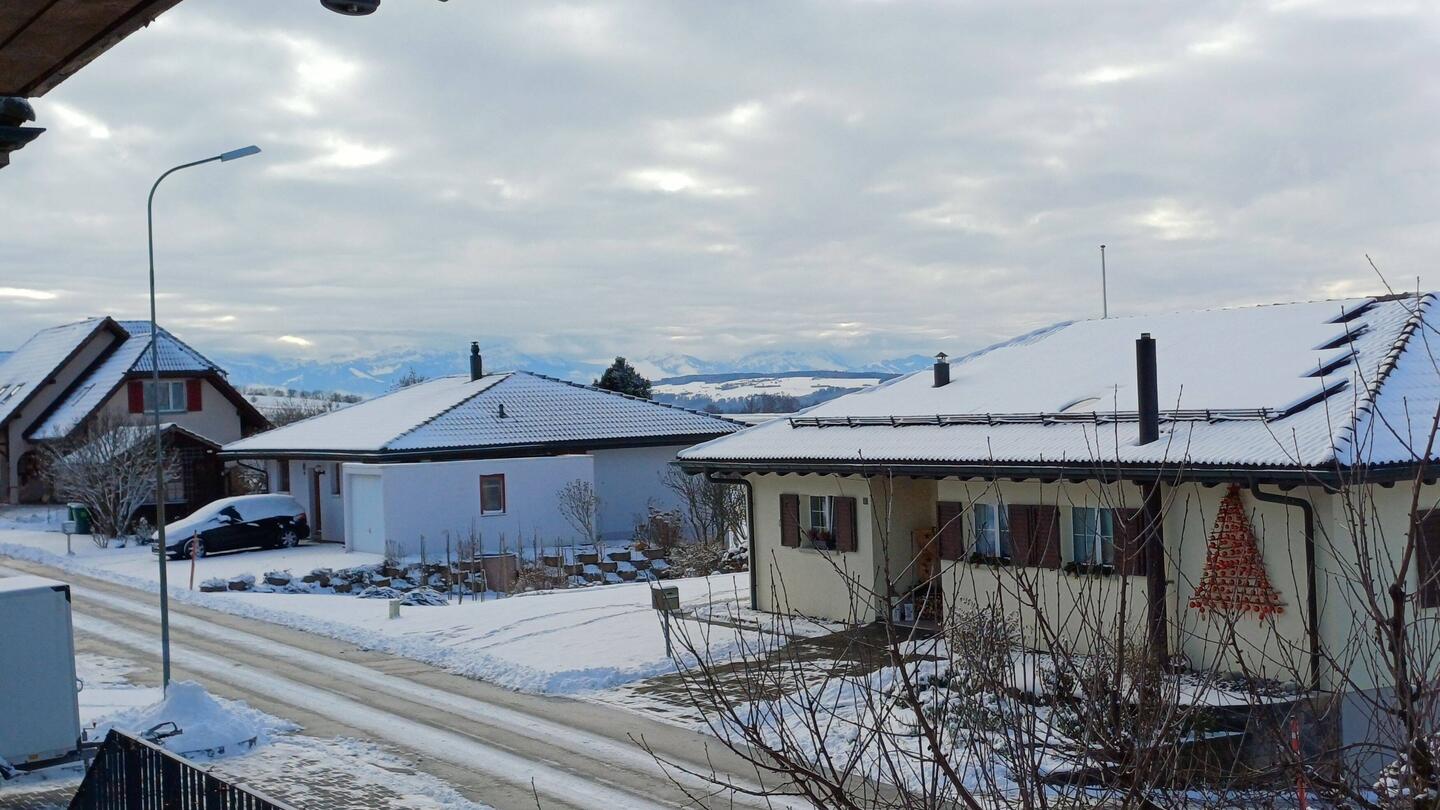 am Morgen viel zuhause noch etwas Schner