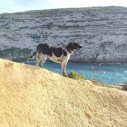 Hier ist sie glücklich