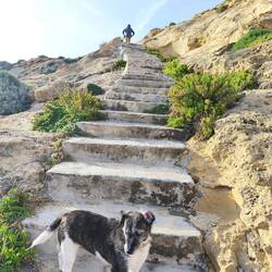 Treppe zum alten Bootsplatz