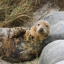 Immer ein bisschen neugierig ☺️