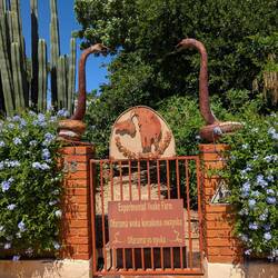 Experimental Snake Farm 😂