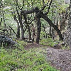 Los geht die wilde Abfahrt