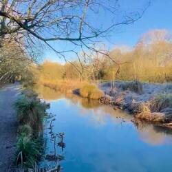 River Itchen such a beautiful walk today