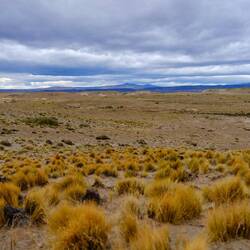 Steppe