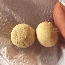 Cassava flour bites—small, chewy, lightly sweet, and a classic Cartagena treat.