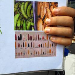 There are many types of corn flour in Colombia.