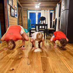 3 Frösche in der Küche - Handstand Challenge läuft