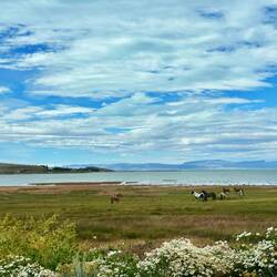 Laguna Argentina, Richtung Camping Platz