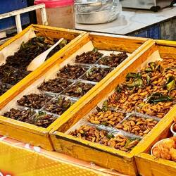 Vous prendrez bien un peu d'insectes à l'apéro ? 😅