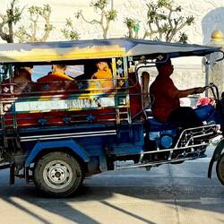Un tuktuk rempli de lamas 😅