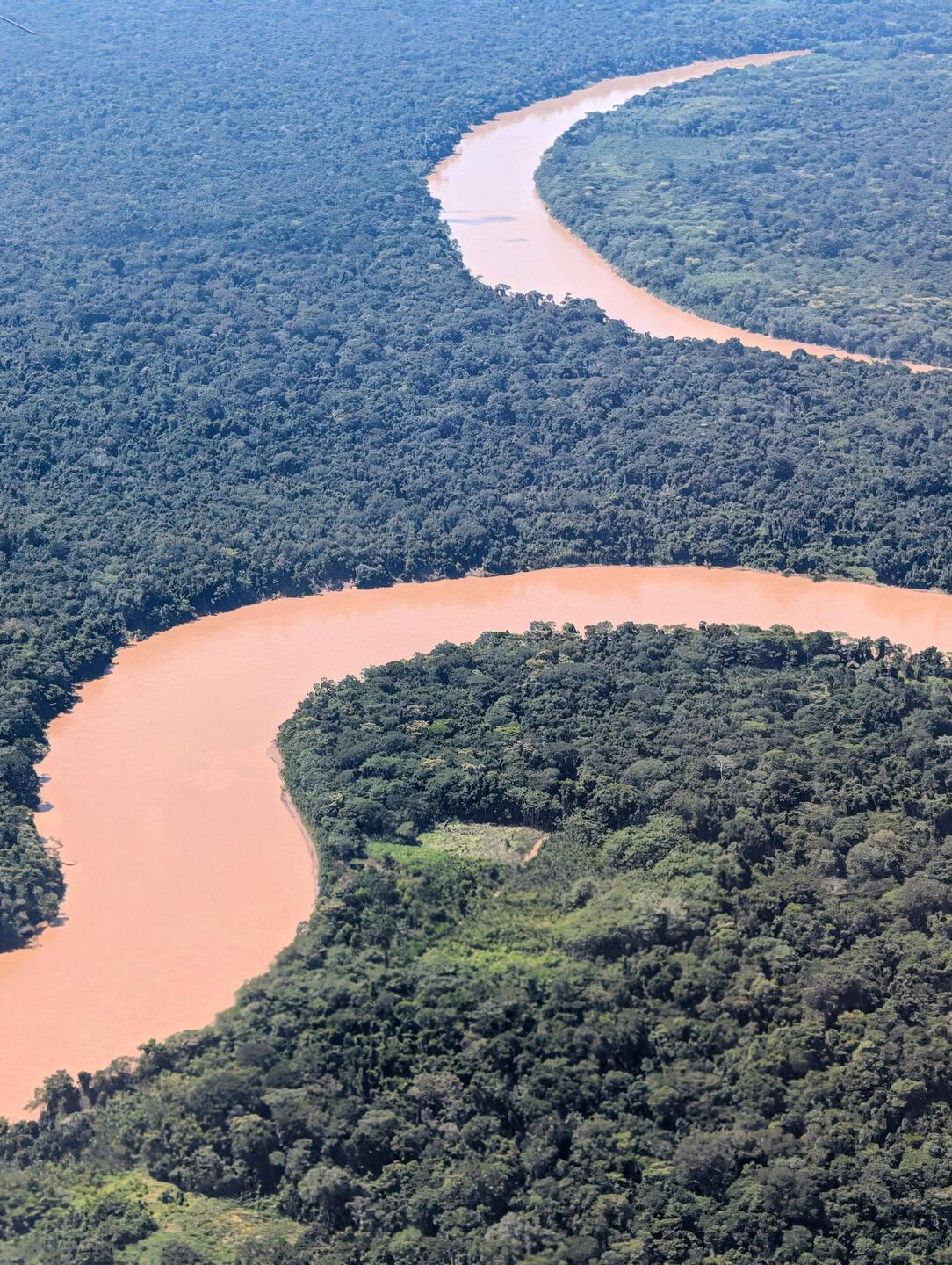 The rainforest approaching the airport.