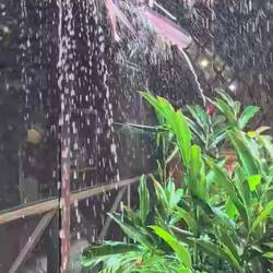 When it rains in the Amazon, it rains!