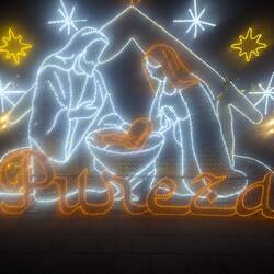 Park by night with Christmas lights