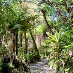 Le chemin pour aller aux grottes