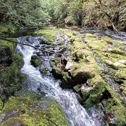 McLean Falls ( cascades)