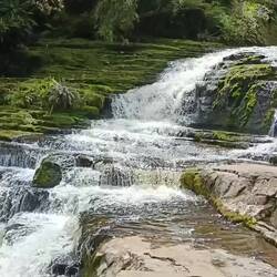 McLean Falls ( cascades)