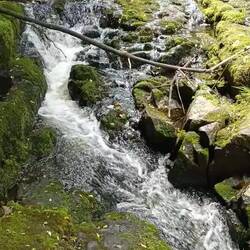 McLean Falls ( cascades)