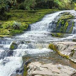 McLean Falls ( cascades)