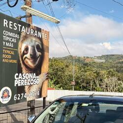 Typical Food and More